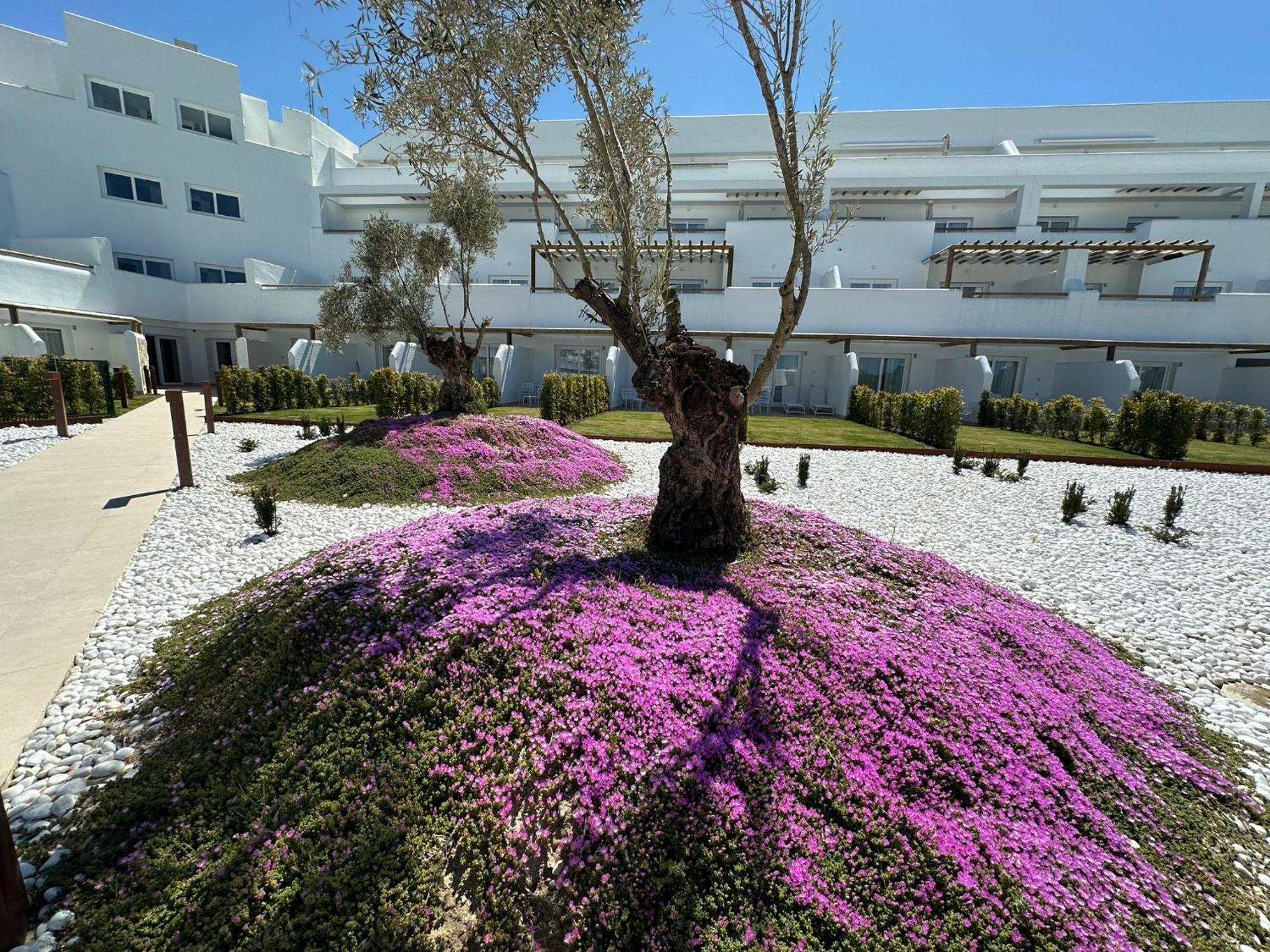 Punta Candor Suites Rota Εξωτερικό φωτογραφία